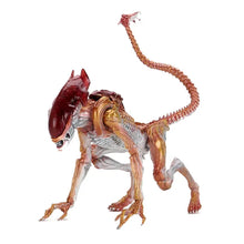 Aliens: Panther Alien - Kenner Tribute - Actionfigur - 23 cm