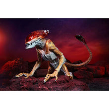 Aliens: Panther Alien - Kenner Tribute - Actionfigur - 23 cm