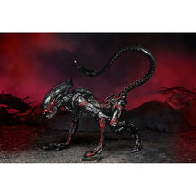 Aliens: Night Cougar Alien - Kenner Tribute - Actionfigur - 23 cm