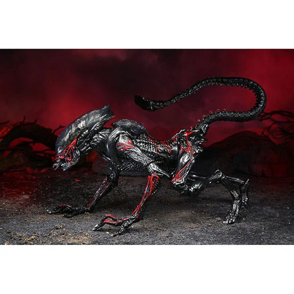 Aliens: Night Cougar Alien - Kenner Tribute - Actionfigur - 23 cm