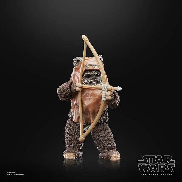 Star Wars: Black Series - 40th Anniversary - Wicket (Episode VI) - F7050 - 15 cm