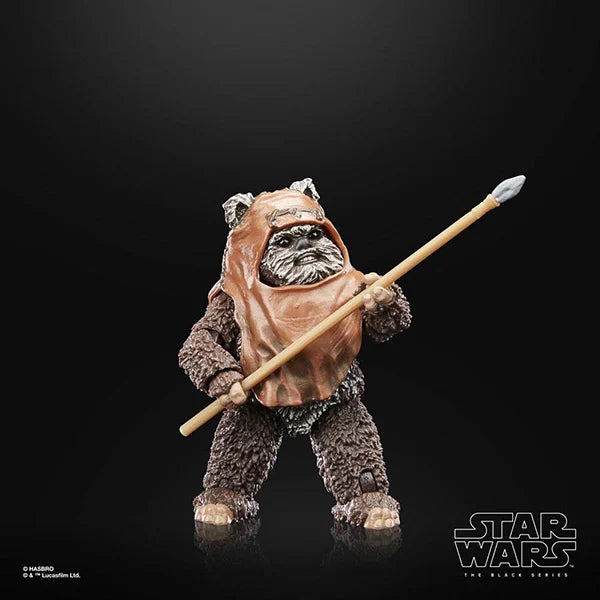 Star Wars: Black Series - 40th Anniversary - Wicket (Episode VI) - F7050 - 15 cm