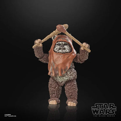 Star Wars: Black Series - 40th Anniversary - Wicket (Episode VI) - F7050 - 15 cm