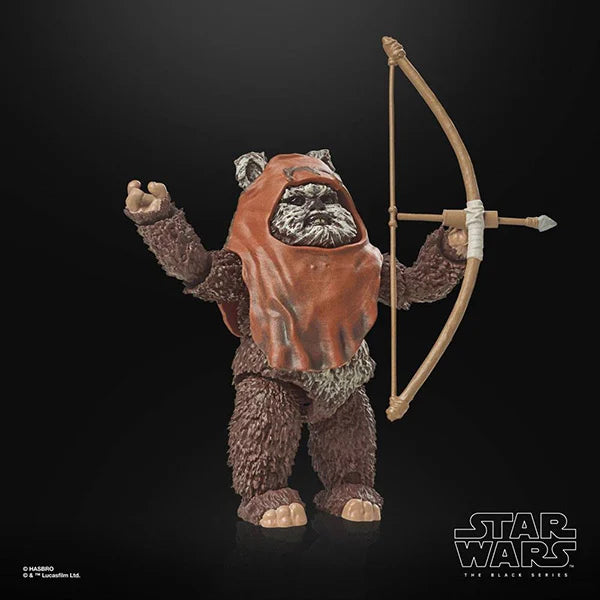 Star Wars: Black Series - 40th Anniversary - Wicket (Episode VI) - F7050 - 15 cm