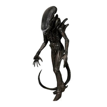 Alien: Alien One:12 Collective - Actionfigur 1/2 - 18 cm