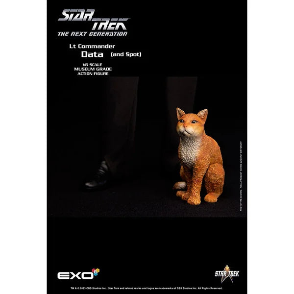 Star Trek: The Next Generation - Lt. Commander Data (Standard Version) - Actionfigur 1/6 - 30 cm
