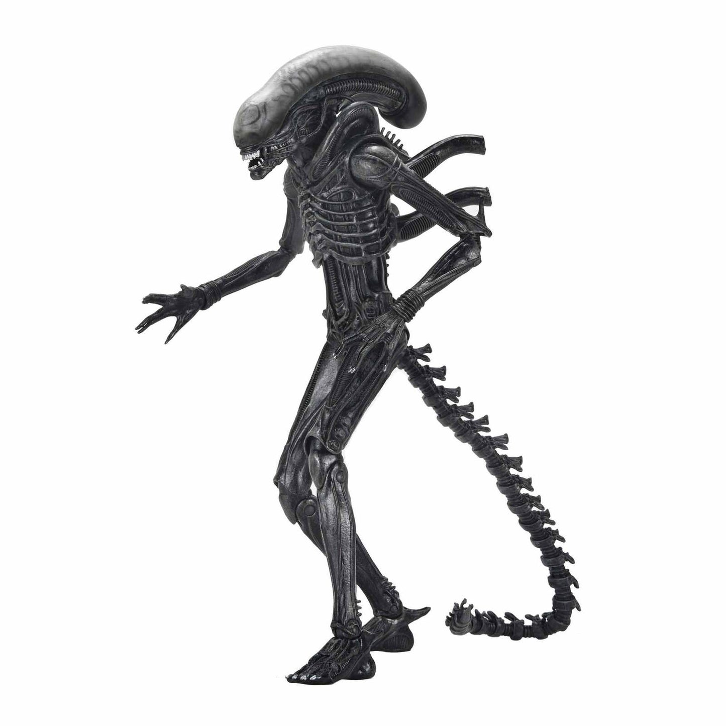Alien: Romulus - Xenomorph XX121 - Ultimate Actionfigur - 18 cm