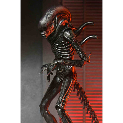Alien: Romulus - Xenomorph XX121 - Ultimate Actionfigur - 18 cm