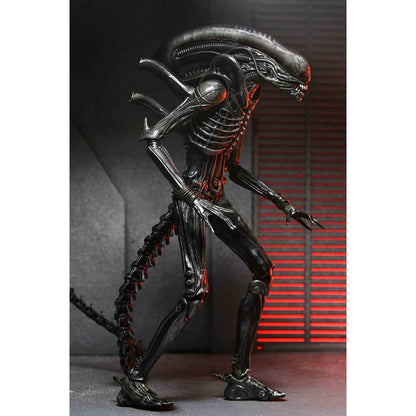 Alien: Romulus - Xenomorph XX121 - Ultimate Actionfigur - 18 cm