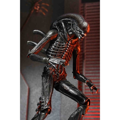 Alien: Romulus - Xenomorph XX121 - Ultimate Actionfigur - 18 cm