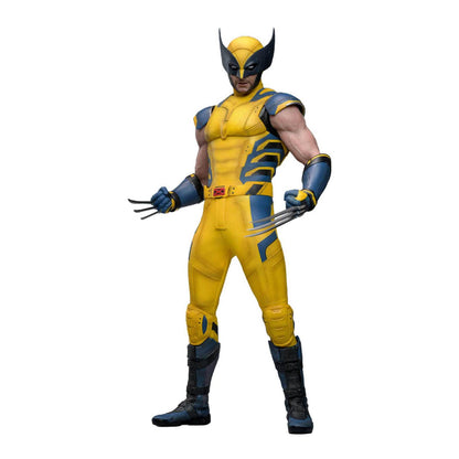 Hot Toys: Deadpool & Wolverine - Wolverine - Movie Masterpiece - Collector Edition - Actionfigur 1/6 - 31 cm