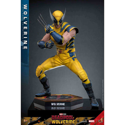 Hot Toys: Deadpool & Wolverine - Wolverine - Movie Masterpiece - Collector Edition - Actionfigur 1/6 - 31 cm