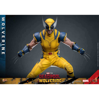 Hot Toys: Deadpool & Wolverine - Wolverine - Movie Masterpiece - Collector Edition - Actionfigur 1/6 - 31 cm