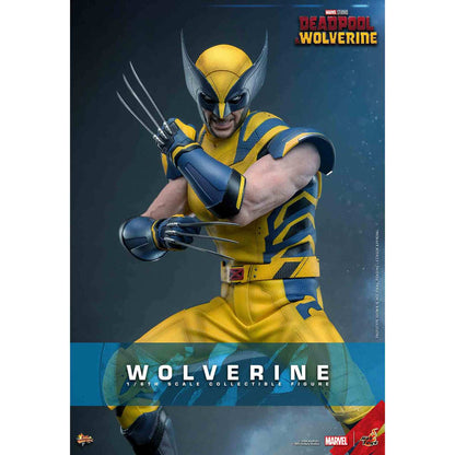 Hot Toys: Deadpool & Wolverine - Wolverine - Movie Masterpiece - Collector Edition - Actionfigur 1/6 - 31 cm