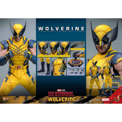 Hot Toys: Deadpool & Wolverine - Wolverine - Movie Masterpiece - Collector Edition - Actionfigur 1/6 - 31 cm