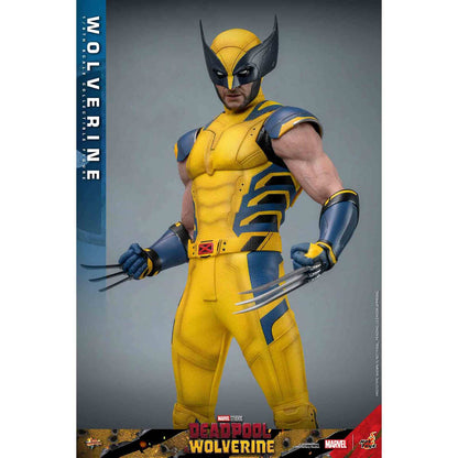 Hot Toys: Deadpool & Wolverine - Wolverine - Movie Masterpiece - Collector Edition - Actionfigur 1/6 - 31 cm