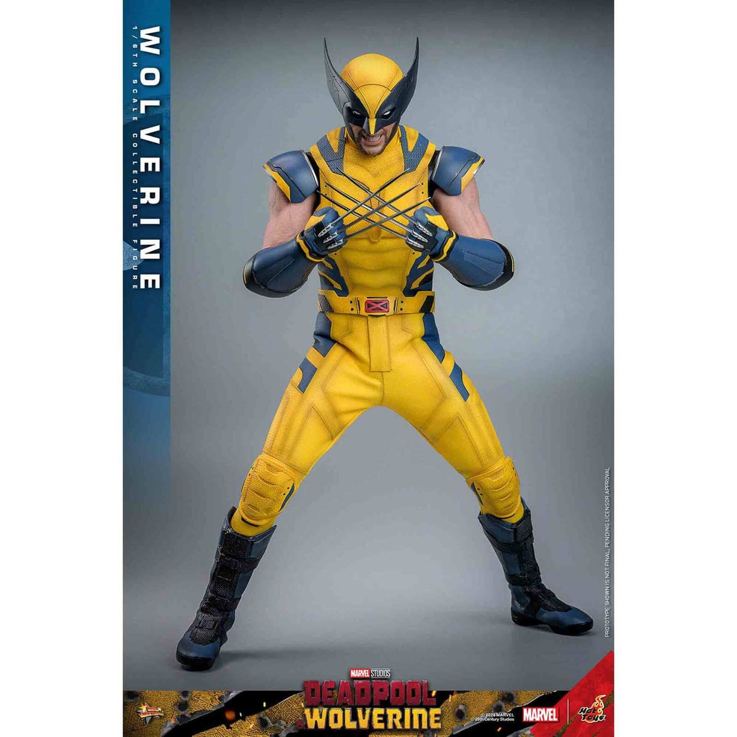 Hot Toys: Deadpool & Wolverine - Wolverine - Movie Masterpiece - Collector Edition - Actionfigur 1/6 - 31 cm