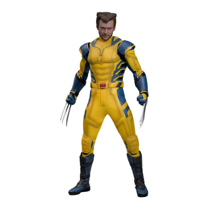 Hot Toys: Deadpool & Wolverine -Wolverine - Movie Masterpiece - Deluxe Version - Actionfigur 1/6 - 31 cm