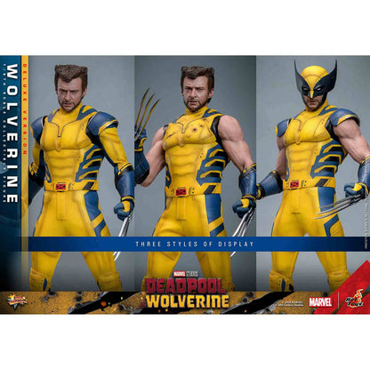 Hot Toys: Deadpool & Wolverine -Wolverine - Movie Masterpiece - Deluxe Version - Actionfigur 1/6 - 31 cm