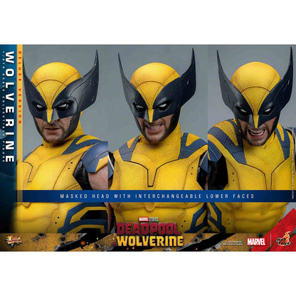 Hot Toys: Deadpool & Wolverine -Wolverine - Movie Masterpiece - Deluxe Version - Actionfigur 1/6 - 31 cm