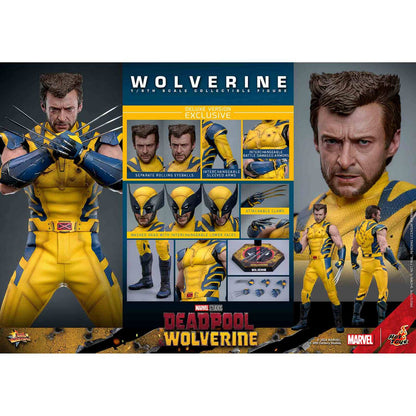 Hot Toys: Deadpool & Wolverine -Wolverine - Movie Masterpiece - Deluxe Version - Actionfigur 1/6 - 31 cm