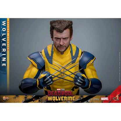 Hot Toys: Deadpool & Wolverine -Wolverine - Movie Masterpiece - Deluxe Version - Actionfigur 1/6 - 31 cm