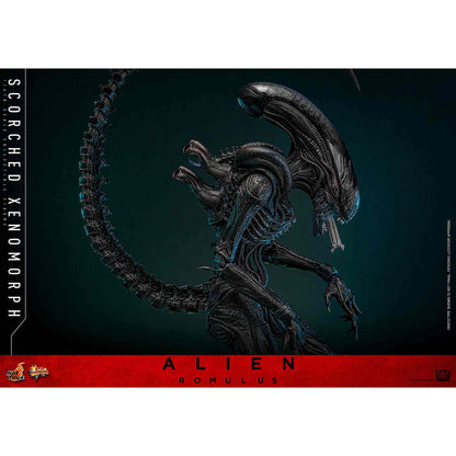 Hot Toys: Alien Romulus - Scorched Xenomorph - Movie Masterpiece - Actionfigur 1/6 - 44 cm