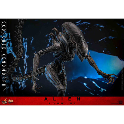 Hot Toys: Alien Romulus - Scorched Xenomorph - Movie Masterpiece - Actionfigur 1/6 - 44 cm