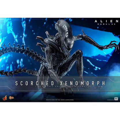 Hot Toys: Alien Romulus - Scorched Xenomorph - Movie Masterpiece - Actionfigur 1/6 - 44 cm