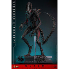 Hot Toys: Alien Romulus - Scorched Xenomorph - Movie Masterpiece - Actionfigur 1/6 - 44 cm