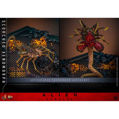 Hot Toys: Alien Romulus - Scorched Xenomorph - Movie Masterpiece - Actionfigur 1/6 - 44 cm