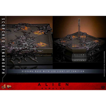 Hot Toys: Alien Romulus - Scorched Xenomorph - Movie Masterpiece - Actionfigur 1/6 - 44 cm