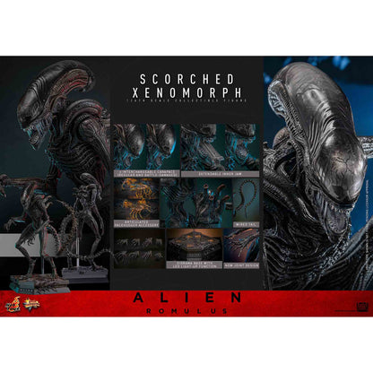 Hot Toys: Alien Romulus - Scorched Xenomorph - Movie Masterpiece - Actionfigur 1/6 - 44 cm
