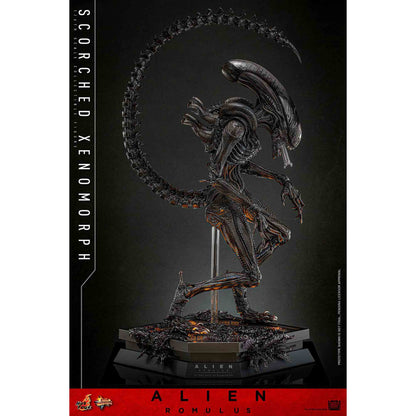 Hot Toys: Alien Romulus - Scorched Xenomorph - Movie Masterpiece - Actionfigur 1/6 - 44 cm