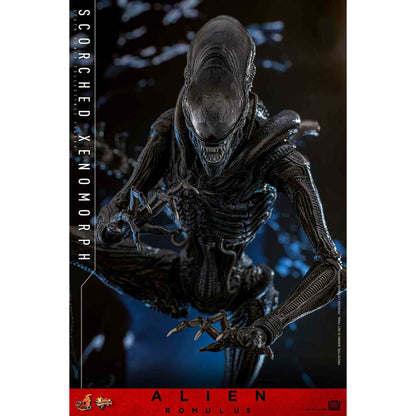 Hot Toys: Alien Romulus - Scorched Xenomorph - Movie Masterpiece - Actionfigur 1/6 - 44 cm