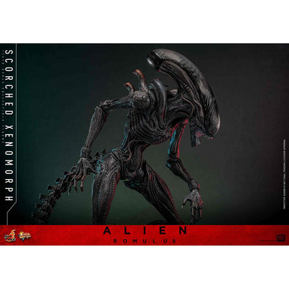 Hot Toys: Alien Romulus - Scorched Xenomorph - Movie Masterpiece - Actionfigur 1/6 - 44 cm