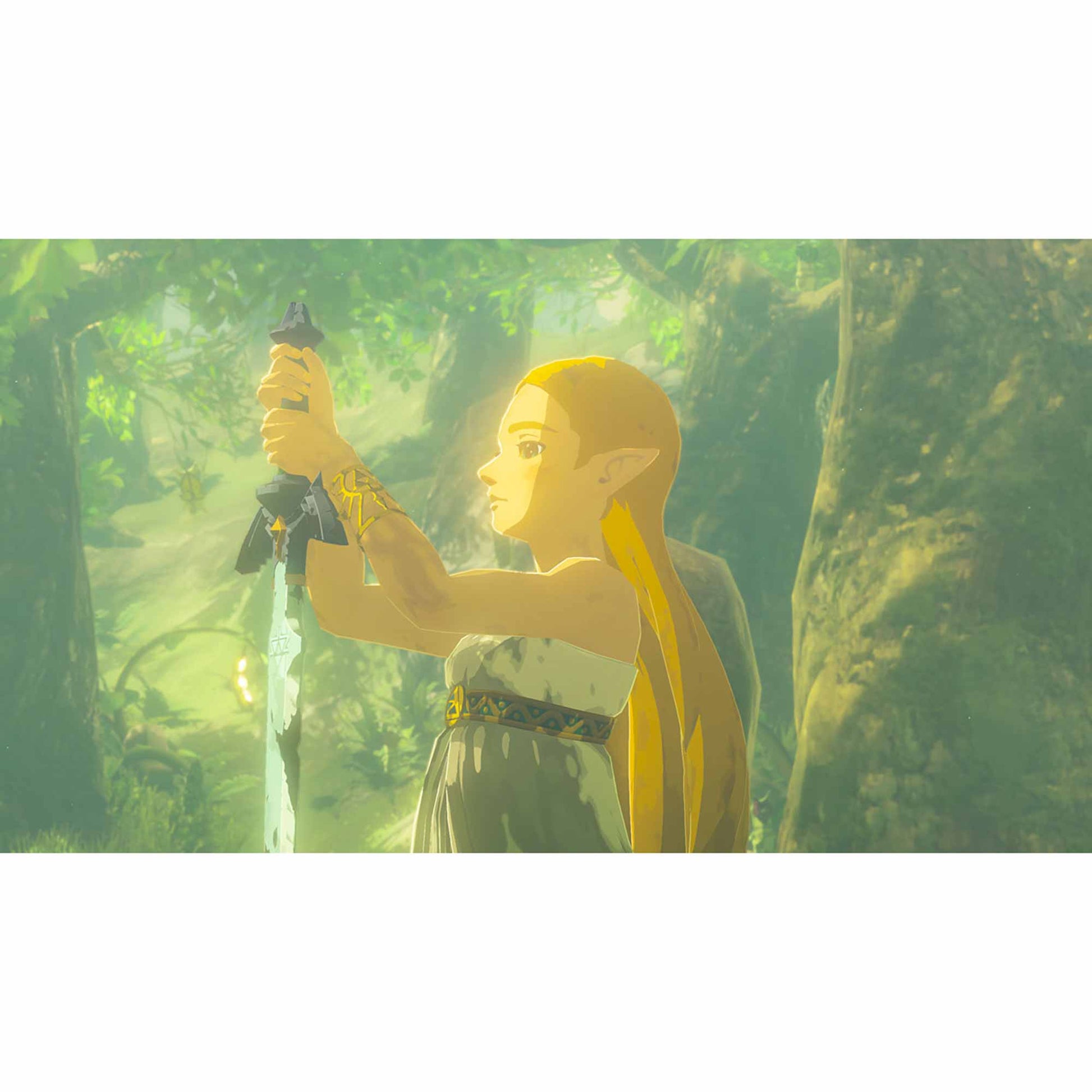 The Legend of Zelda - Breath of the Wild - Nintendo Switch 2 Edition