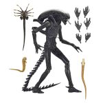 Alien: Romulus - Xenomorph XX121 - Ultimate Actionfigur - 18 cm