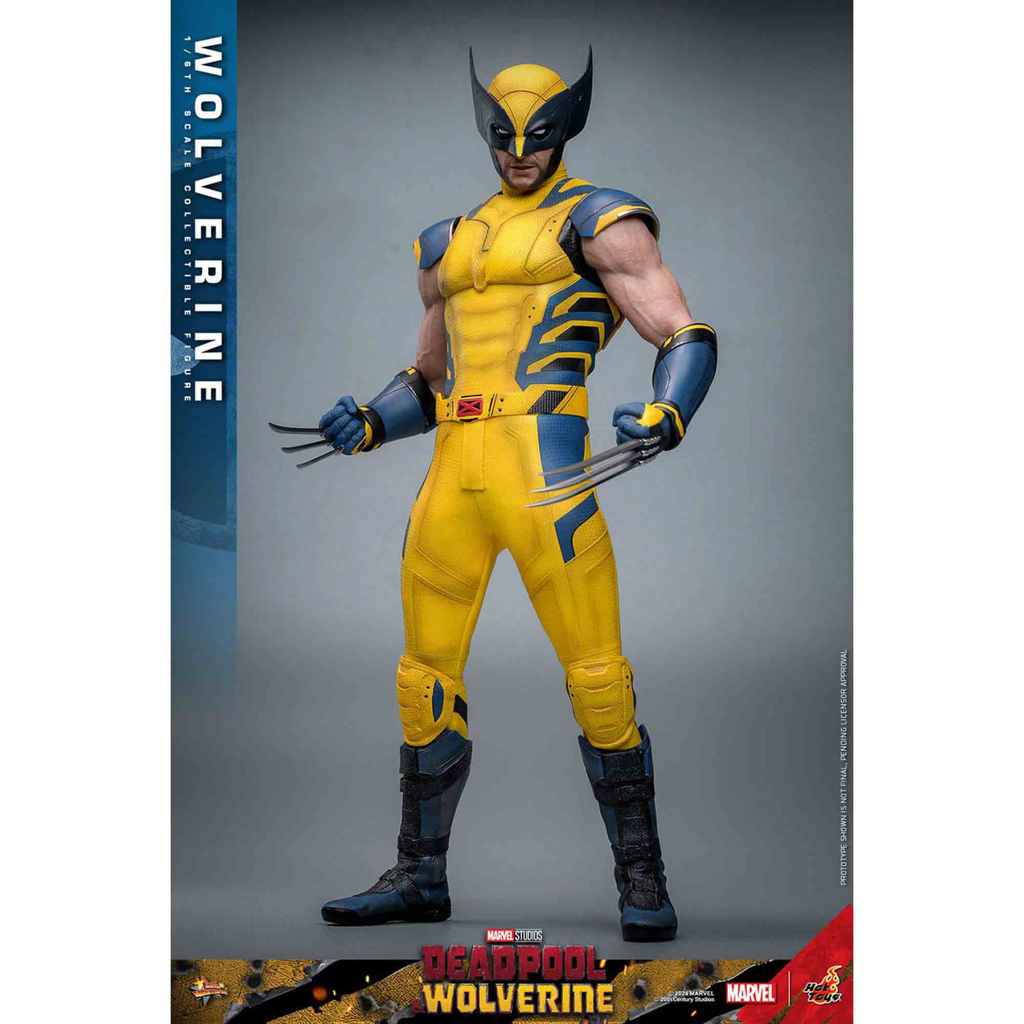 Hot Toys: Deadpool & Wolverine - Wolverine - Movie Masterpiece - Collector Edition - Actionfigur 1/6 - 31 cm