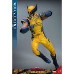 Hot Toys: Deadpool & Wolverine - Wolverine - Movie Masterpiece - Collector Edition - Actionfigur 1/6 - 31 cm