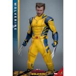 Hot Toys: Deadpool & Wolverine -Wolverine - Movie Masterpiece - Deluxe Version - Actionfigur 1/6 - 31 cm