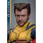 Hot Toys: Deadpool & Wolverine -Wolverine - Movie Masterpiece - Deluxe Version - Actionfigur 1/6 - 31 cm